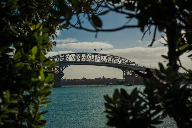 Half Day Auckland City Sightseeing Tour with Expert Guide - Final Thoughts: Is It Worth It?