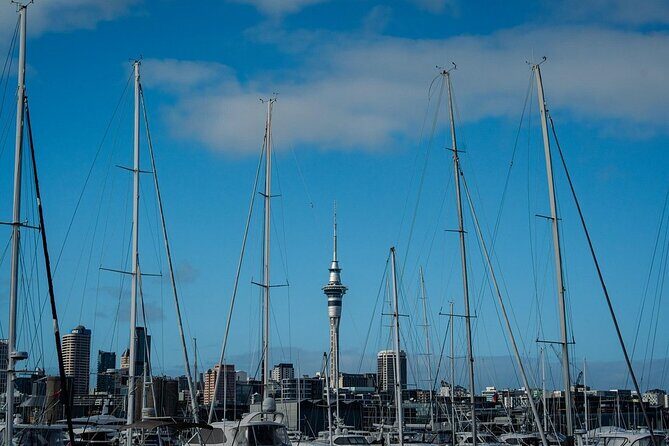 Half Day Auckland City Sightseeing Tour with Expert Guide - FAQs