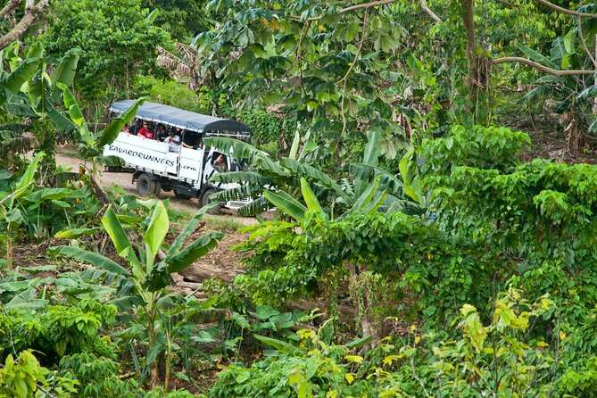Half-Day Authentic Safari and Traditional Combo - Itinerary Highlights