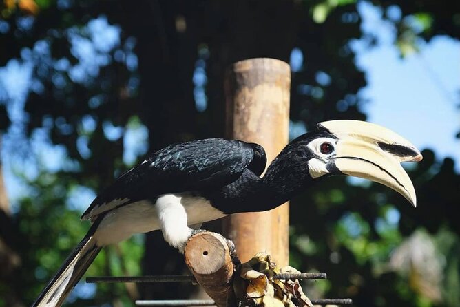 Half-Day Banana Beach Sunset Sail by Luxury Catamaran - Weather-Related Information