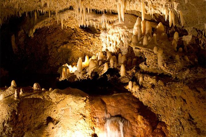 Half-Day Barbados Tour Harrisons Cave Huntes Garden and Bathsheba - Botanical Paradise