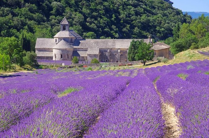 Half-Day Baux De Provence and Luberon Tour From Avignon - Meeting and Pickup Information