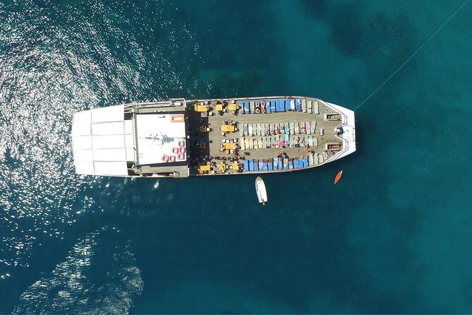 Half Day BBQ Lunch Cruise from Paphos - The Real Experiences – What Travelers Say