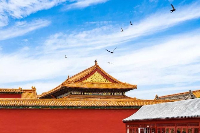 Half Day Beijing Group Tour to Tiananmen Square and Forbidden City - Reviews