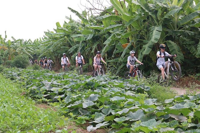 Half-Day Bicycle Tour of Hanoi City & Countryside Train Street - Tips for the Tour