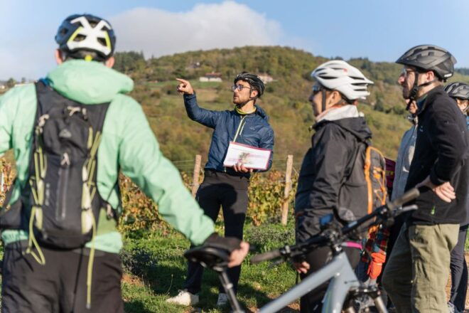 Half Day Bike Guided in Beaujolais - Mont Brouilly and Wine - Itinerary