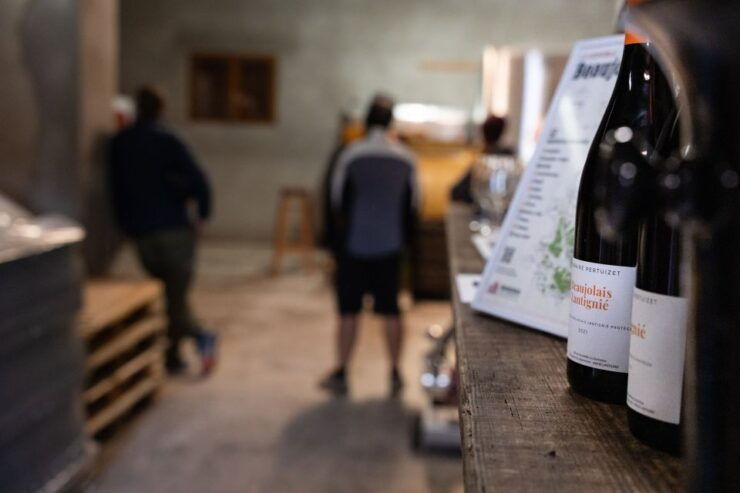 Half Day Bike Guided in Beaujolais - Mont Brouilly and Wine - Activity Highlights