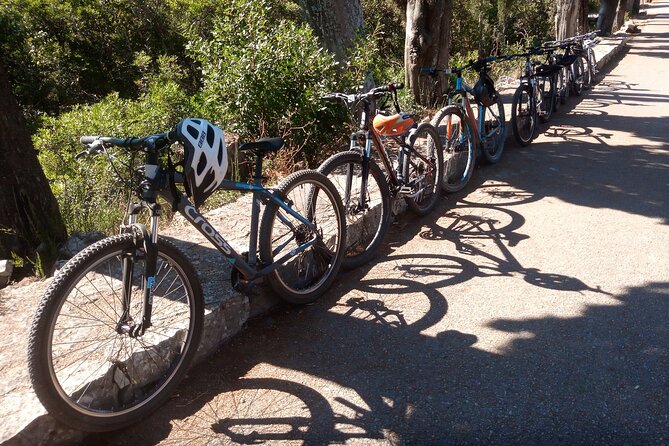 Half-Day Bike Tour in Lumbarda With Wine Tasting - Tour Overview