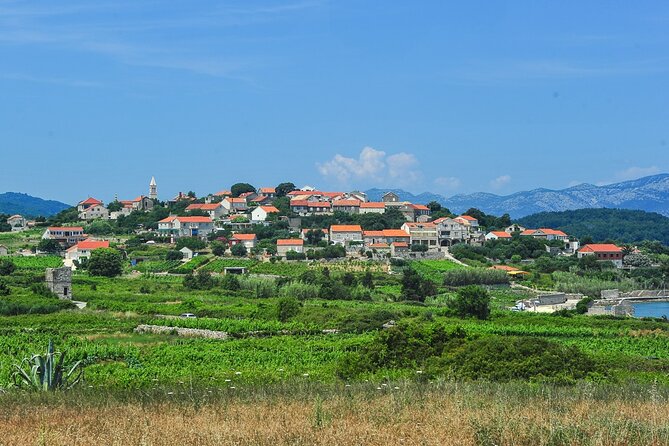 Half-Day Bike Tour in Lumbarda With Wine Tasting - Reviews and Ratings