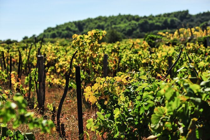 Half-Day Bike Tour in Lumbarda With Wine Tasting - Directions and Location