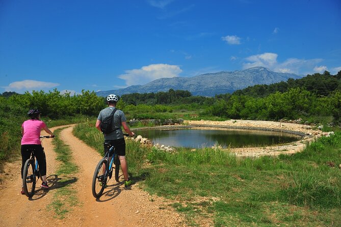 Half-Day Bike Tour in Lumbarda With Wine Tasting - Frequently Asked Questions