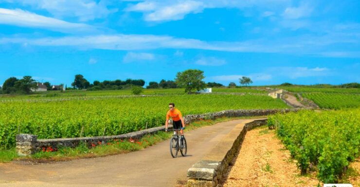 Half Day Bike & Wine Tour in Burgundy - Tour Details