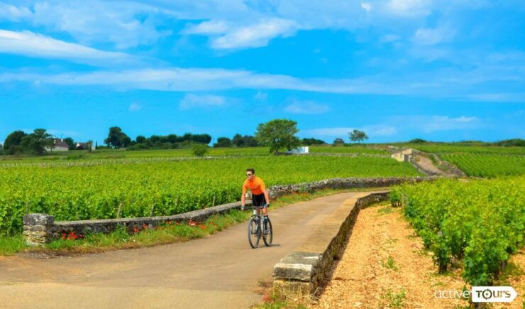 Half Day Bike & Wine Tour in Burgundy - Booking Information