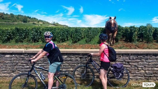 Half Day Bike & Wine Tour in Burgundy - Experience Description