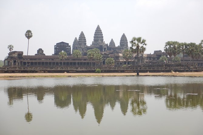 Half Day Birding in Angkor Wat - Best Birding Spots in Angkor Wat