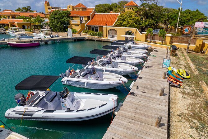 Half Day Boat Rental on Bonaire - Who Will Love This Experience?