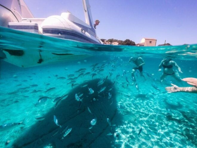 Half-Day Boat &Snorkeling Tour to La Maddalena - Highlights