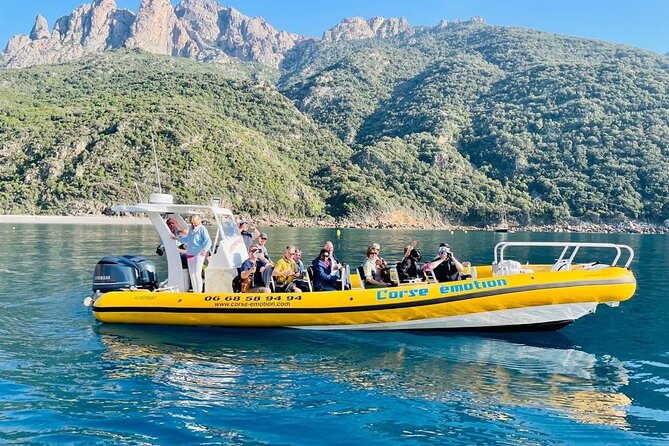 Half Day Boat Trip to Scandola Calanche De Piana - Inclusions