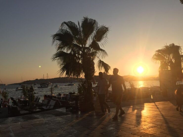 Half Day Bodrum (Halicarnasos) Tour by Car - Tour Duration and Location