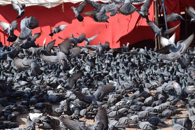 Half Day Boudhanath Stupa Tour in Kathmandu - Common Questions