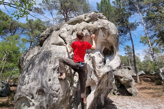 Half-Day Bouldering in Fontainebleau - Common Questions