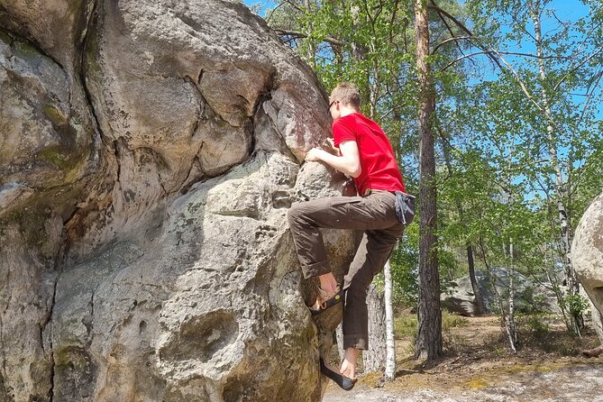 Half-Day Bouldering in Fontainebleau - The Sum Up