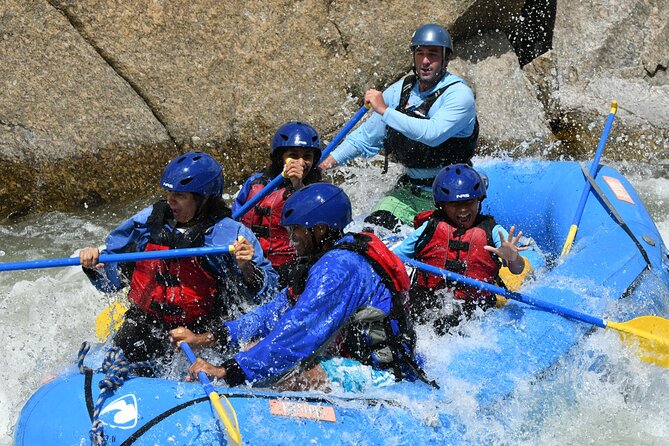 Half Day Browns Canyon Rafting Trip - Trip Highlights