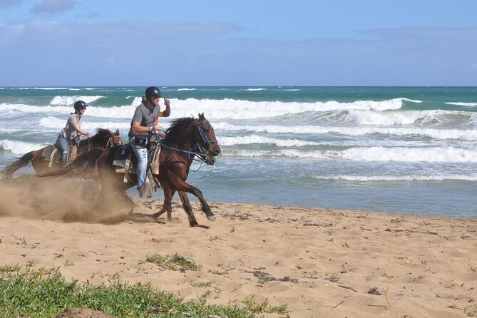 Half Day Buggies and Horseback Experience in Punta Cana - Meeting and Pickup