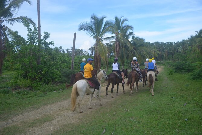 Half Day Buggies and Horseback Experience in Punta Cana - Common Questions