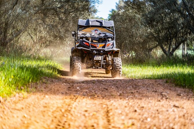 Half Day Buggy Driving and Tour in Algarve - Additional Information