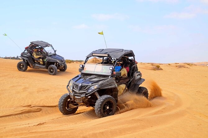 Half Day Buggy Tour in Sal Island With Guide - Tour Expectations and Accessibility