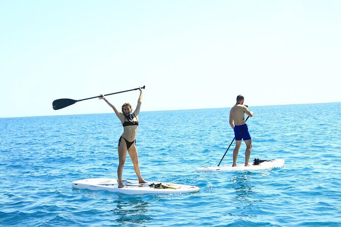 Half Day Cabo Snorkel Adventure with Lunch and Open Bar - Who Should Book This Tour?