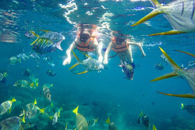 Half Day Cabo Snorkel Adventure with Lunch and Open Bar - Frequently Asked Questions