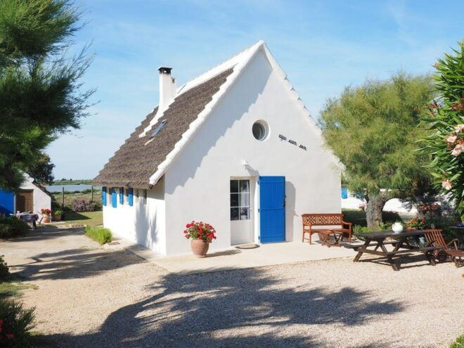 Half Day Camargue Wine Tour: Fortified City and Rosé Wines - Important Information