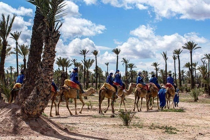 Half Day Camel Ride Palm Grove - Frequently Asked Questions