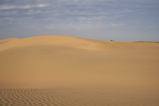 Half Day Camel Safari Sunset With Dinner Tour (Non Touristic) - Inclusions