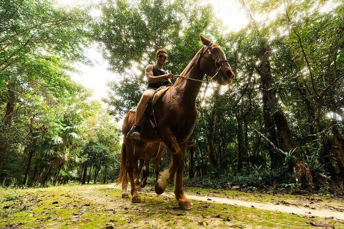 Half-day Cancun: Horseback riding, ATV, zipline & cenote - Good To Know