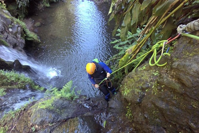 Half Day Canyoning at Ribeira Dos Caldeirões - Pricing and Booking