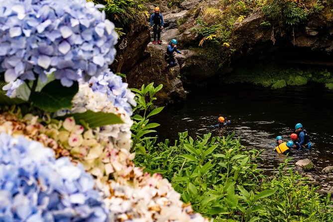Half Day Canyoning at Ribeira Dos Caldeirões - Canyoning Techniques