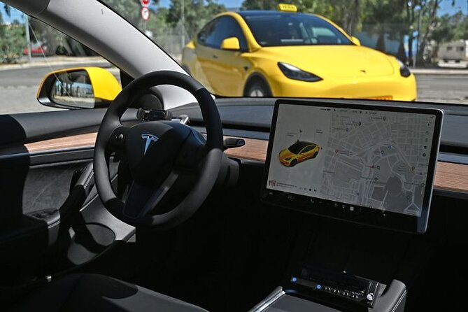 Half Day Cape Sounion Sunset Views at the Poseidon Temple Tesla - Customer Reviews