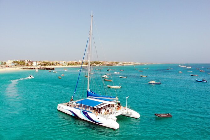 Half Day Catamaran Cruise Tour to Sal Island - Good To Know