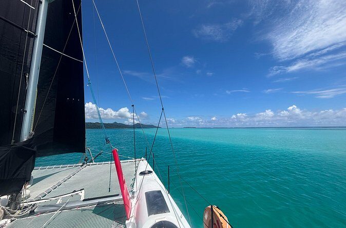 Half day catamaran sailing in the Sailinity Lagoon - Authenticity and Review Highlights