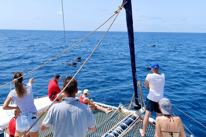 Half Day Catamaran Sailing Tour in Santa Maria - Itinerary and Highlights