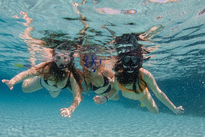 Half-Day Catamaran Tour and Snorkeling off Rottnest Island - Tour Details and Activities