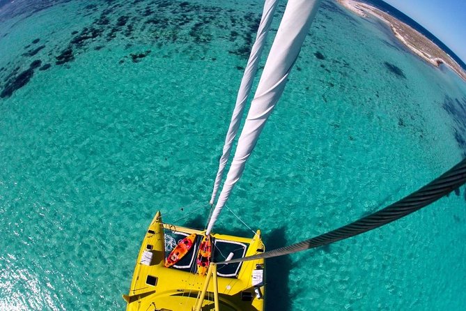 Half-Day Catamaran Tour and Snorkeling off Rottnest Island - Common Questions
