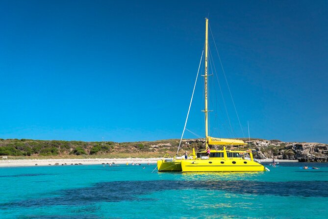 Half-Day Catamaran Tour With Kayaks and More, Carnac Island  - Fremantle - Overview and Inclusions