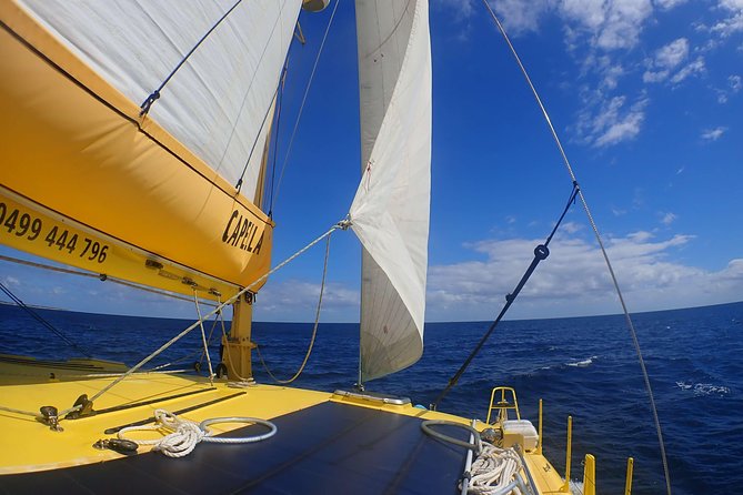 Half-Day Catamaran Tour With Kayaks and More, Carnac Island  - Fremantle - Common Questions
