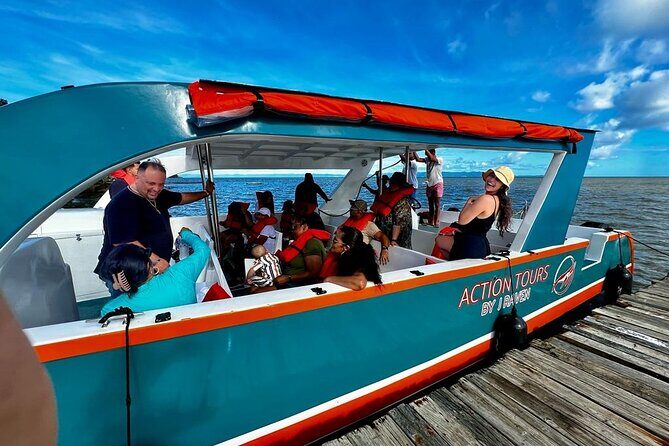 Half Day Cayo Levantado - Transportation: Comfort and Convenience