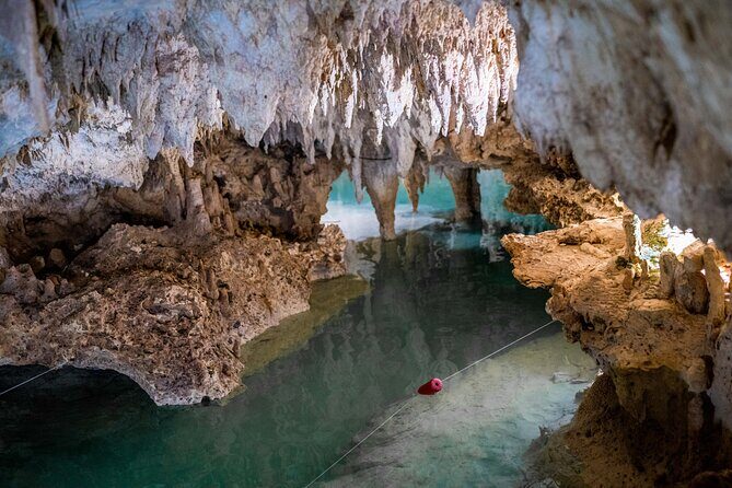 Half Day Cenotes Experience - First Stop: Akumal and the Cenotes