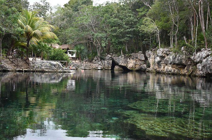 Half Day Cenotes Tour - A Thorough Look at the Itinerary